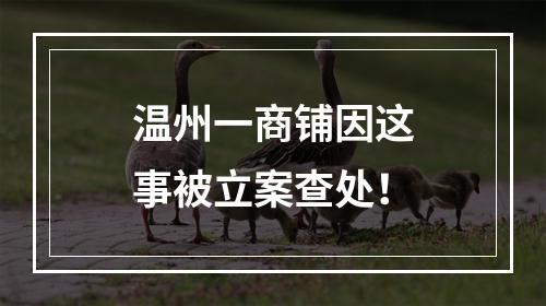温州一商铺因这事被立案查处！
