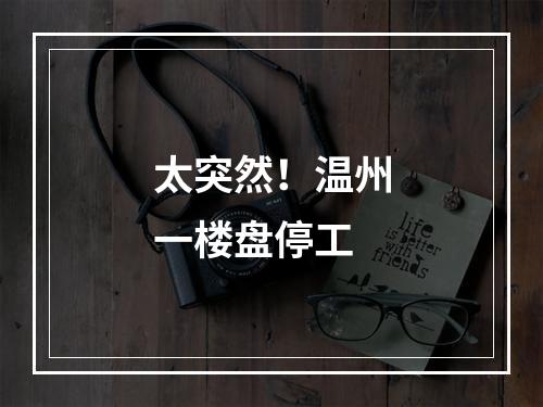 太突然！温州一楼盘停工