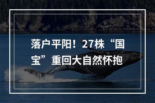 落户平阳！27株“国宝”重回大自然怀抱