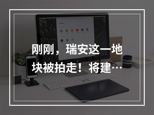 刚刚，瑞安这一地块被拍走！将建…