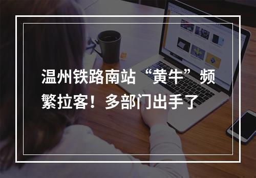 温州铁路南站“黄牛”频繁拉客！多部门出手了