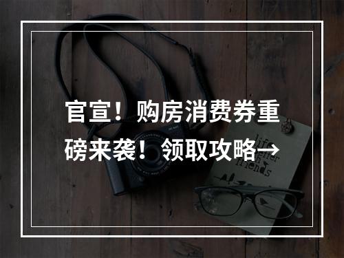 官宣！购房消费券重磅来袭！领取攻略→