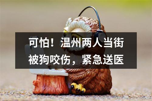 可怕！温州两人当街被狗咬伤，紧急送医