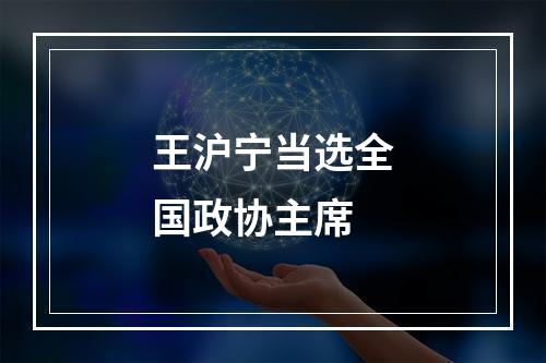 王沪宁当选全国政协主席