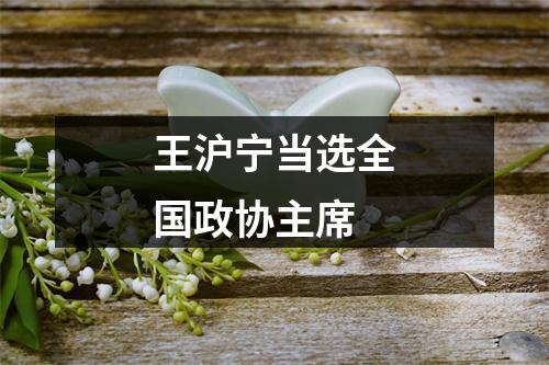 王沪宁当选全国政协主席