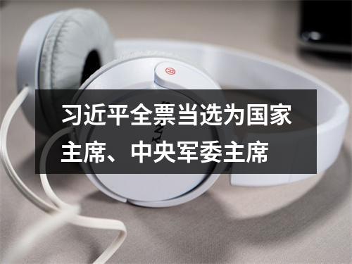 习近平全票当选为国家主席、中央军委主席