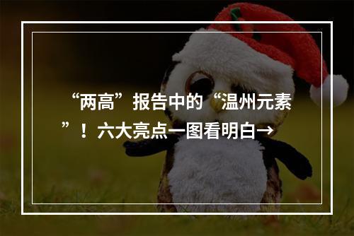 “两高”报告中的“温州元素”！六大亮点一图看明白→