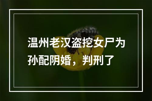 温州老汉盗挖女尸为孙配阴婚，判刑了