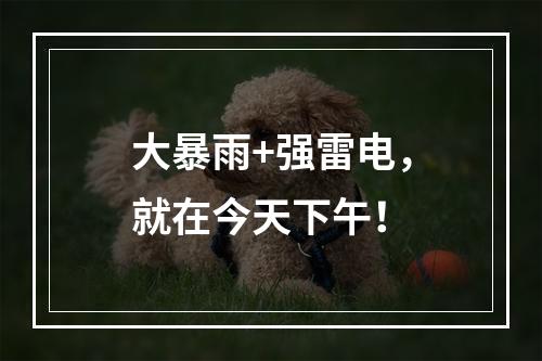 大暴雨+强雷电，就在今天下午！