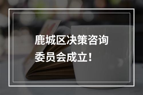 鹿城区决策咨询委员会成立！