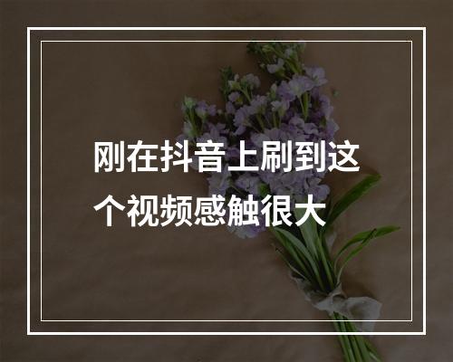 刚在抖音上刷到这个视频感触很大