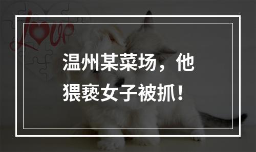 温州某菜场，他猥亵女子被抓！