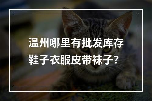 温州哪里有批发库存鞋子衣服皮带袜子？