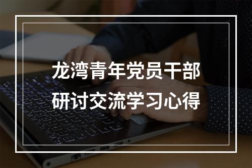 龙湾青年党员干部研讨交流学习心得