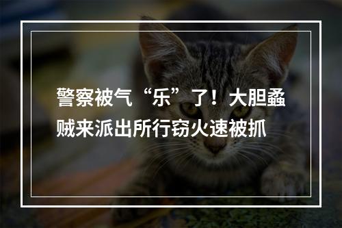 警察被气“乐”了！大胆蟊贼来派出所行窃火速被抓