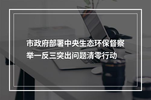 市政府部署中央生态环保督察举一反三突出问题清零行动