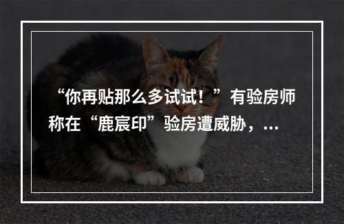 “你再贴那么多试试！”有验房师称在“鹿宸印”验房遭威胁，房开这样回应.. ...
