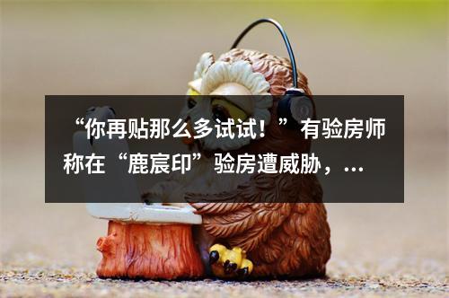 “你再贴那么多试试！”有验房师称在“鹿宸印”验房遭威胁，房开这样回应.. ...