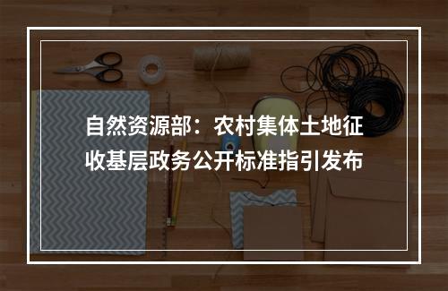 自然资源部：农村集体土地征收基层政务公开标准指引发布