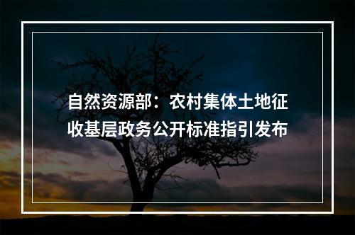 自然资源部：农村集体土地征收基层政务公开标准指引发布