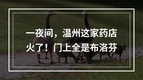一夜间，温州这家药店火了！门上全是布洛芬