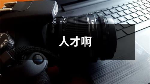 人才啊