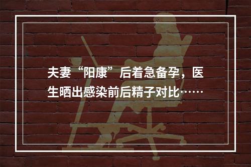 夫妻“阳康”后着急备孕，医生晒出感染前后精子对比……