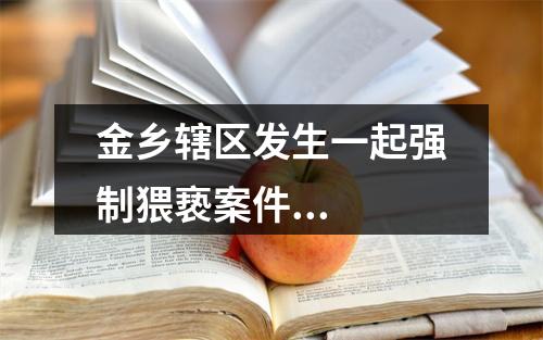 金乡辖区发生一起强制猥亵案件...