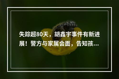 失踪超80天，胡鑫宇事件有新进展！警方与家属会面，告知孩子或有厌学情绪自 ...