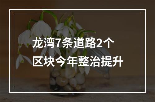 龙湾7条道路2个区块今年整治提升