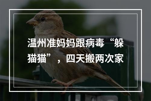 温州准妈妈跟病毒“躲猫猫”，四天搬两次家