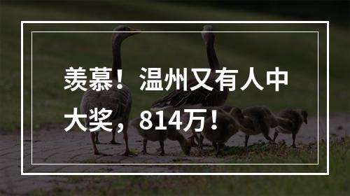 羡慕！温州又有人中大奖，814万！