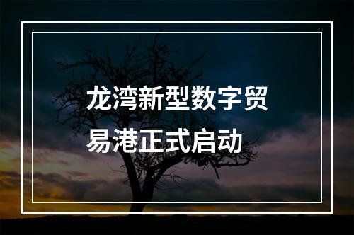 龙湾新型数字贸易港正式启动