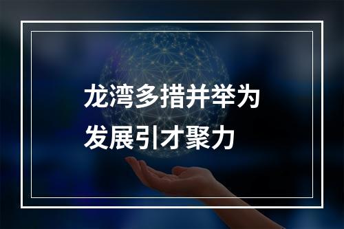 龙湾多措并举为发展引才聚力