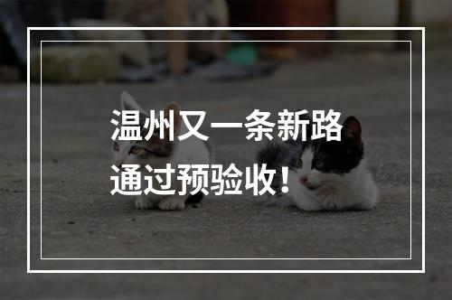 温州又一条新路通过预验收！
