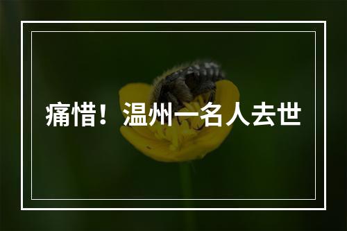 痛惜！温州一名人去世