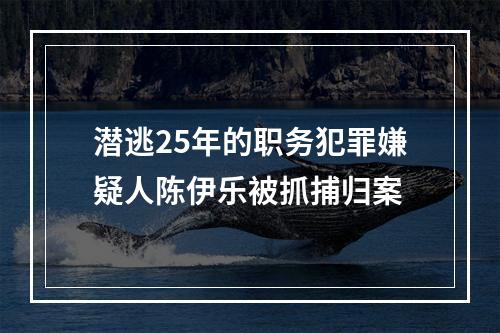 潜逃25年的职务犯罪嫌疑人陈伊乐被抓捕归案