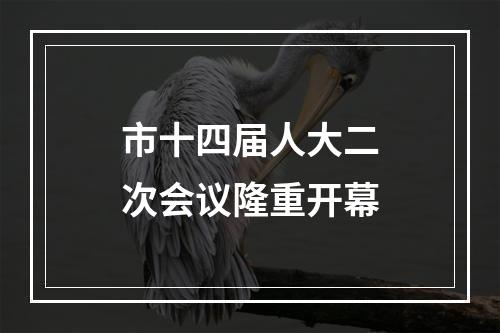 市十四届人大二次会议隆重开幕