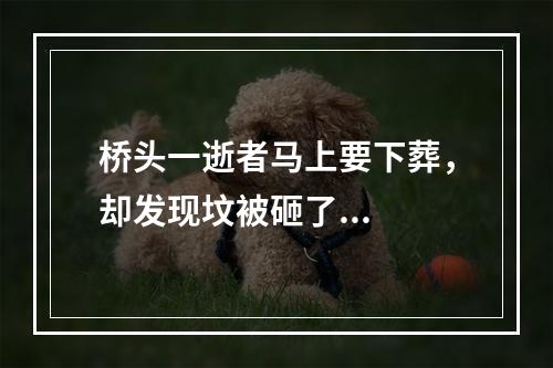 桥头一逝者马上要下葬，却发现坟被砸了...