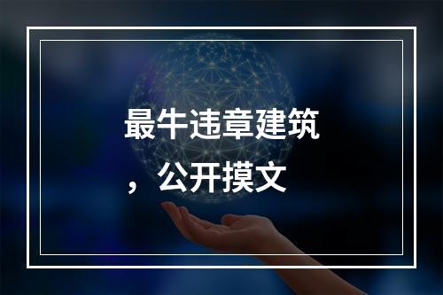 最牛违章建筑，公开摸文