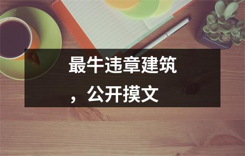 最牛违章建筑，公开摸文