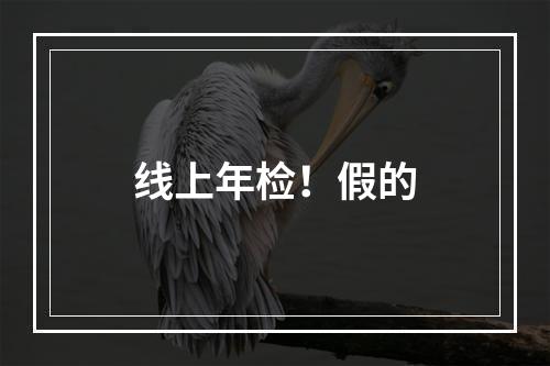 线上年检！假的