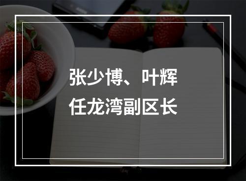 张少博、叶辉任龙湾副区长