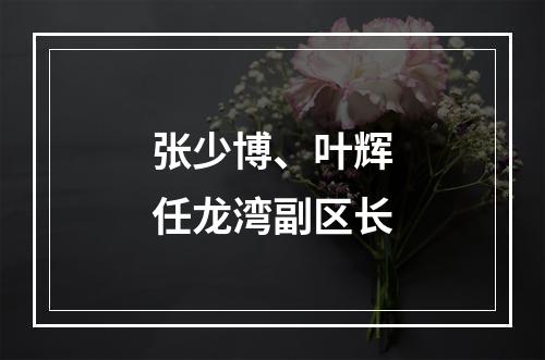 张少博、叶辉任龙湾副区长