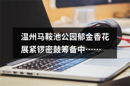 温州马鞍池公园郁金香花展紧锣密鼓筹备中……