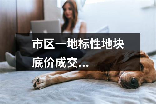市区一地标性地块底价成交...