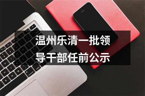 温州乐清一批领导干部任前公示