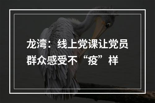 龙湾：线上党课让党员群众感受不“疫”样
