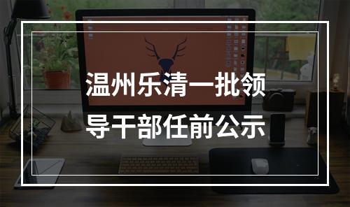 温州乐清一批领导干部任前公示