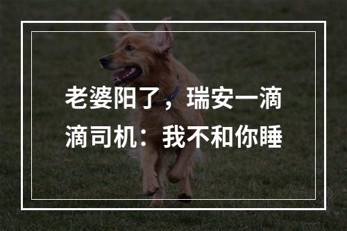 老婆阳了，瑞安一滴滴司机：我不和你睡